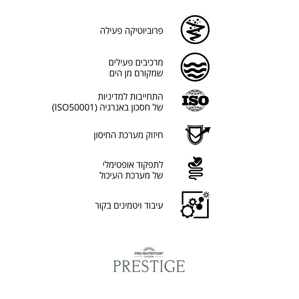 מזון מומלץ לכלבים עם סלמון דגים