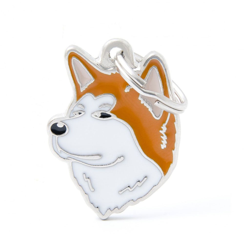 תג שם לכלב עם חריטה SHIBA INU-MF79