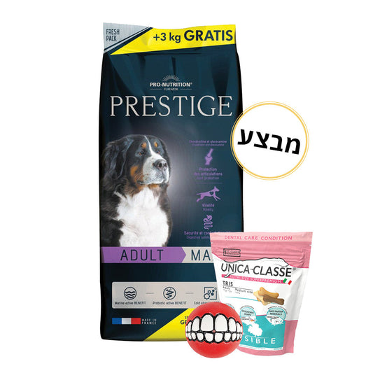 מארז לכלבים גזע גדול שק אוכל+חטיפים+צעצוע
